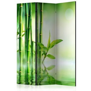 Paraván Green Bamboo Dekorhome 135x172 cm (3-dílný),Paraván Green Bamboo Dekorhome 135x172 cm (3-dílný)