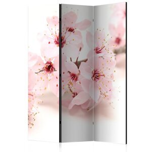 Paraván Cherry Blossom Dekorhome 135x172 cm (3-dílný),Paraván Cherry Blossom Dekorhome 135x172 cm (3-dílný)