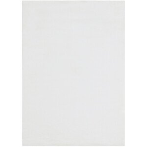BO-MA Trading Int. s.r.o. Kusový koberec COLOR UNI White, Bílá (Rozměr: 60 x 100 cm)