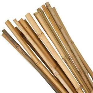 Tyč bamboo, průměr 1- 1,5 cm, délka 150 cm