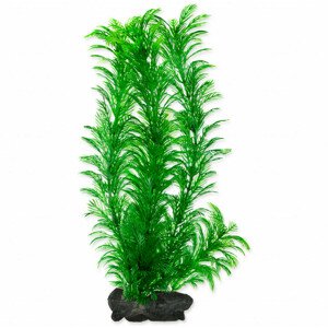 Dekorace Tetra Rostlina Green Cabomba L 30cm