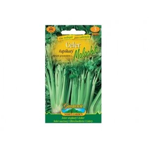 Celer řapíkatý MALACHIT, zelený