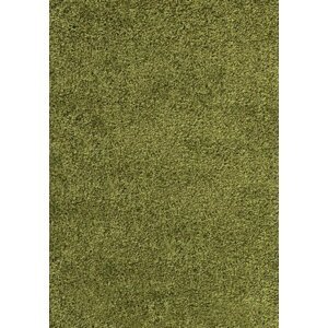 Kusový koberec Dream Shaggy 4000 green (Varianta: Kulatý 120 cm průměr)