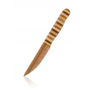 Nůž kuchařský bambusový BRILLANTE 24 x 2,6 cm