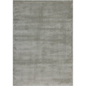 Kusový koberec Softtouch 700 silber (Varianta: 200 x 290 cm)