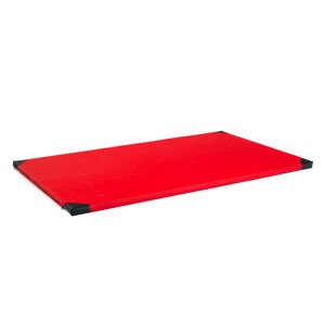 Gymnastická žíněnka inSPORTline Roshar T90 200x120x5 cm (Barva: červená)