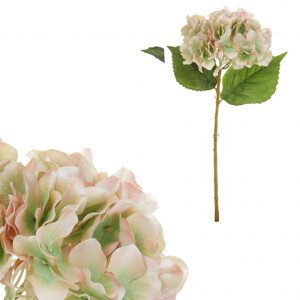 Hortenzie, barva růžovo-zelená. Květina umělá. KN5114-PINK-GR, sada 12 ks