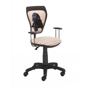 Židle Ministyle černá Labrador
